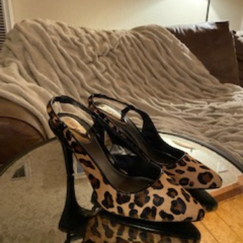 Alfani Leopard pumps